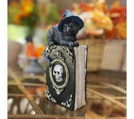 Статуетка "Книга Відьми з котом" 21 см