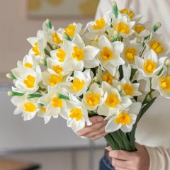 Веточка нарцисса 45 см